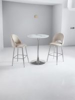 TABLE DE BAR ROSA PIED CHROME – Image 5